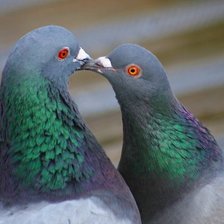 Схема вышивки «kiss»