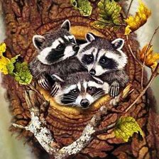 Схема вышивки «енотики»