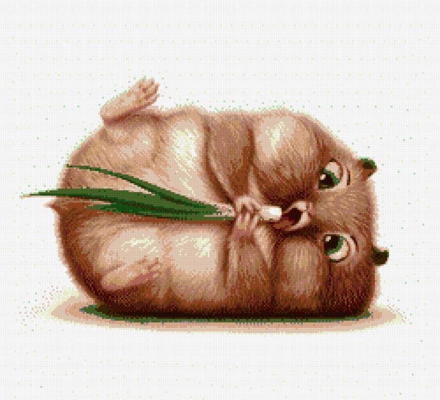 Очаровательный хомяк - хомяк, очаровательный, милашка - предпросмотр