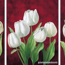 Схема вышивки «тюлпаны»