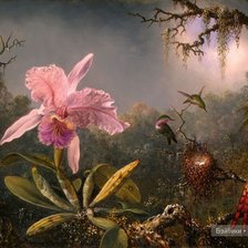 Схема вышивки «№667804»