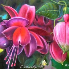 Схема вышивки «№667823»