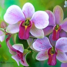 Схема вышивки «№667828»