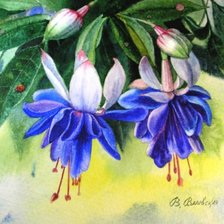 Схема вышивки «№667840»