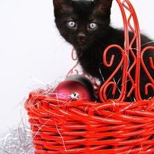 Схема вышивки «Котенок в корзинке»