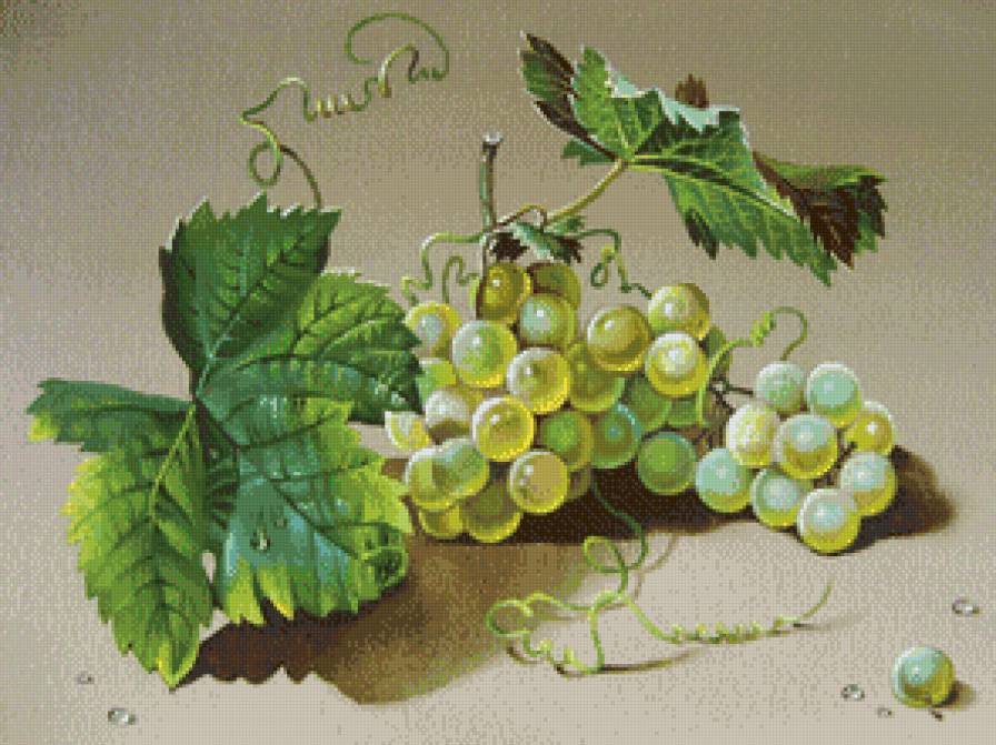 Гроздь винограда - листья, стол, виноград, капля - предпросмотр