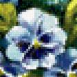 Предпросмотр схемы вышивки «Анютины глазки» (№668135)