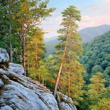 Схема вышивки «Пшадские скалы»