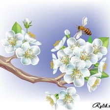 Схема вышивки «вишнёвый цвет»