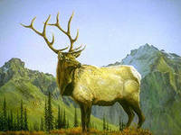 Схема вышивки «олень»