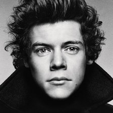 Схема вышивки «Гарри»