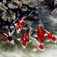 Схема вышивки «карпы кои»