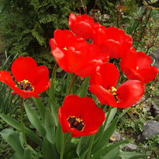 Схема вышивки «№668328»