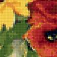 Предпросмотр схемы вышивки «Подсолнухи и маки» (№668337)