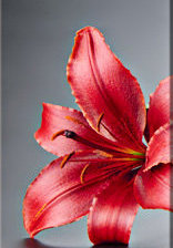 Схема вышивки «№668372»