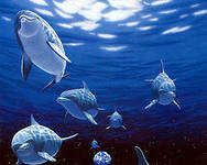 Схема вышивки «дельфины»