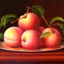 Схема вышивки «№668640»