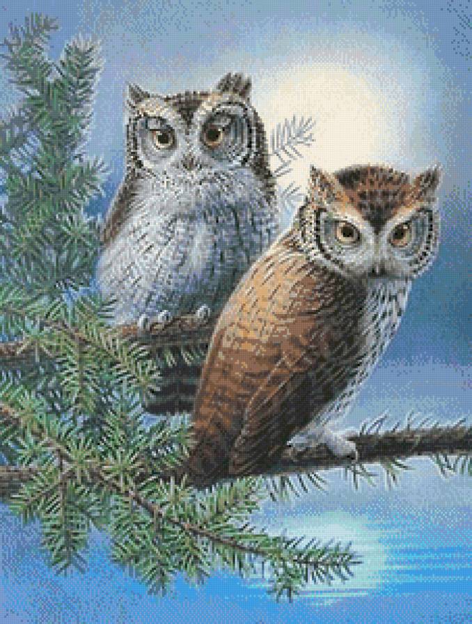 №668654 - предпросмотр