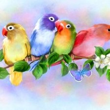 Схема вышивки «яркие попугаи»
