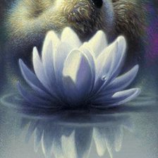 Схема вышивки «2269»