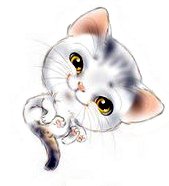 котенок 1 - животные - оригинал