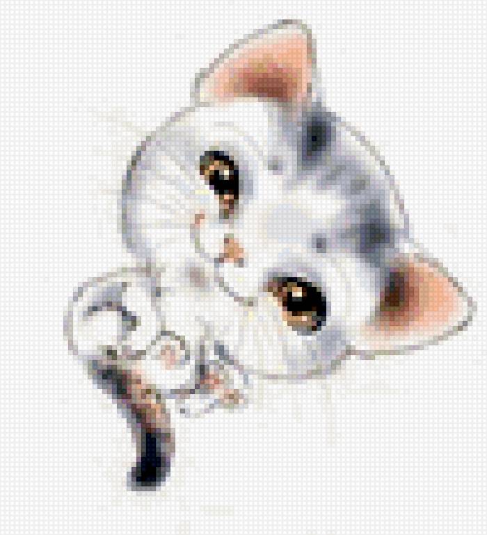 котенок 1 - животные - предпросмотр