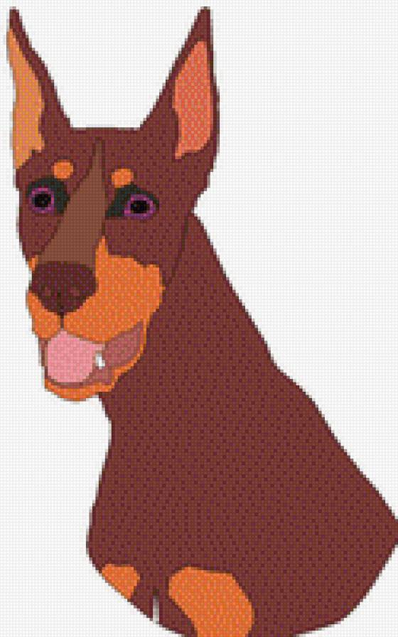 ZorЯ - доберман, собака - предпросмотр