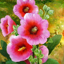 Схема вышивки «Цветы»