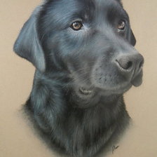 Схема вышивки «пес»