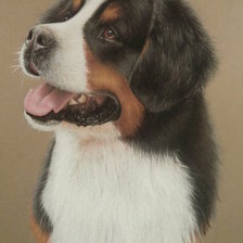 Схема вышивки «пес»