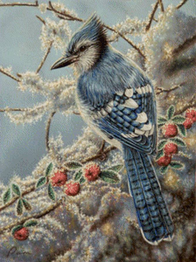 птичка на ветке - птица - предпросмотр