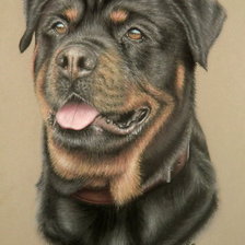 Схема вышивки «пес»