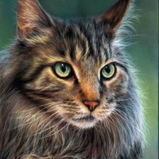 Схема вышивки «кот»