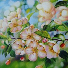 Схема вышивки «2279»