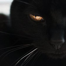 Схема вышивки «котик»