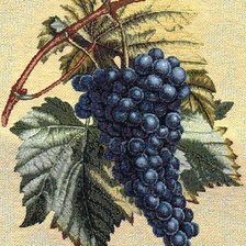 старая картинка