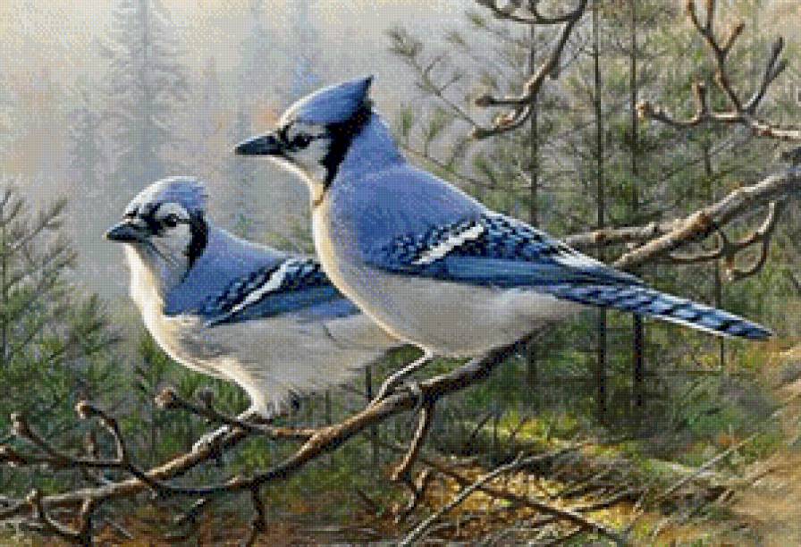 №669605 - предпросмотр