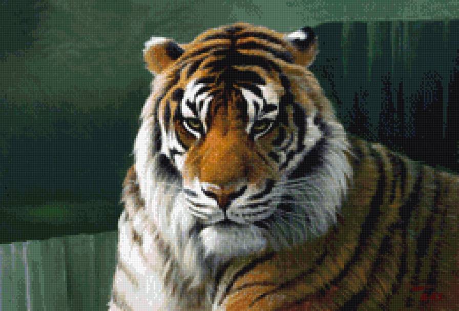 Красавец тигр - тигры, животные - предпросмотр
