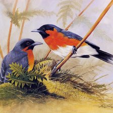 Схема вышивки «№669797»