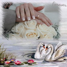 Схема вышивки «Свадебный подарок»