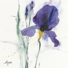 Схема вышивки «Ирисы»