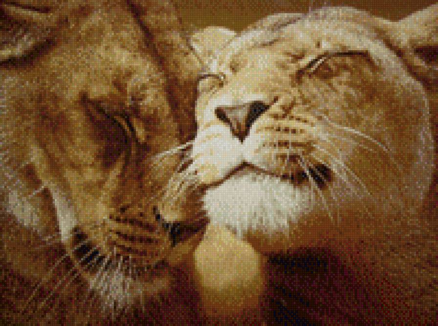 Верность - предпросмотр