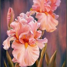 Схема вышивки «Огненные ирисы»