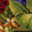 Предпросмотр схемы вышивки «Букет» (№669942)