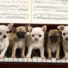 Схема вышивки «Пианисты»