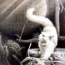 Схема вышивки «пано кошка»