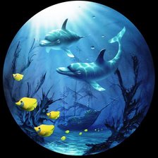 подводный мир