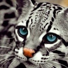 Схема вышивки «№670310»