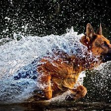 Схема вышивки «№670311»