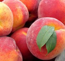 Схема вышивки «персики»